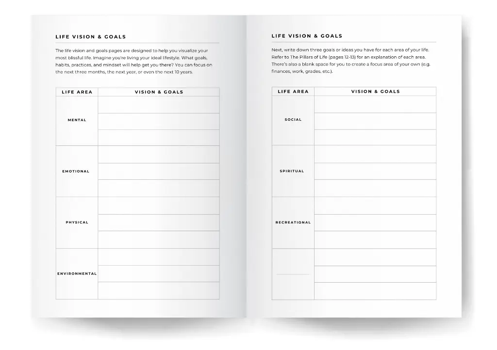 life-vision-goals.webp